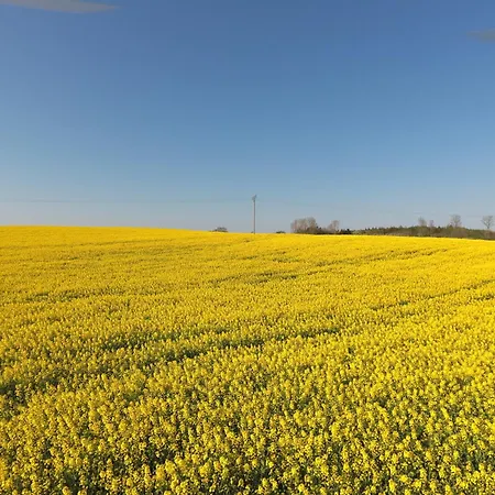 Mit Schleiblick 20 דירה